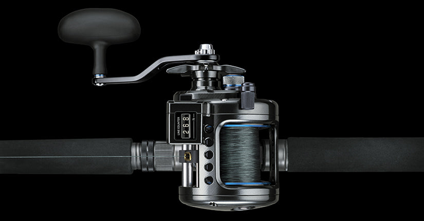 Daiwa Saltist LW30LCH