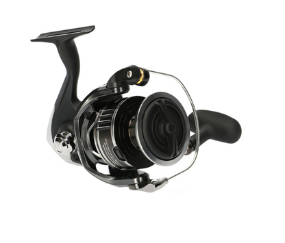 Daiwa 20 BG MQ 4000-8000 sarjat