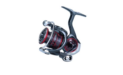 Daiwa 21 Ballistic MQ LT