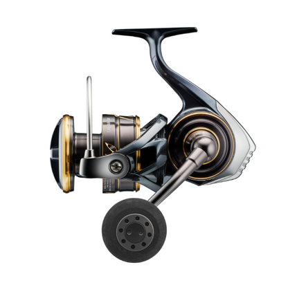 Daiwa 22 Caldia SW 4000-8000 sarjat