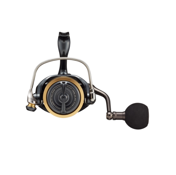 Daiwa 22 Caldia SW 4000-8000 sarjat