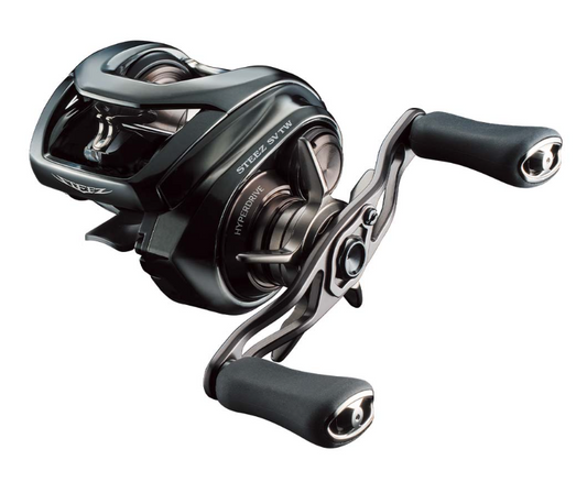 Daiwa 24 STEEZ SV TW 100